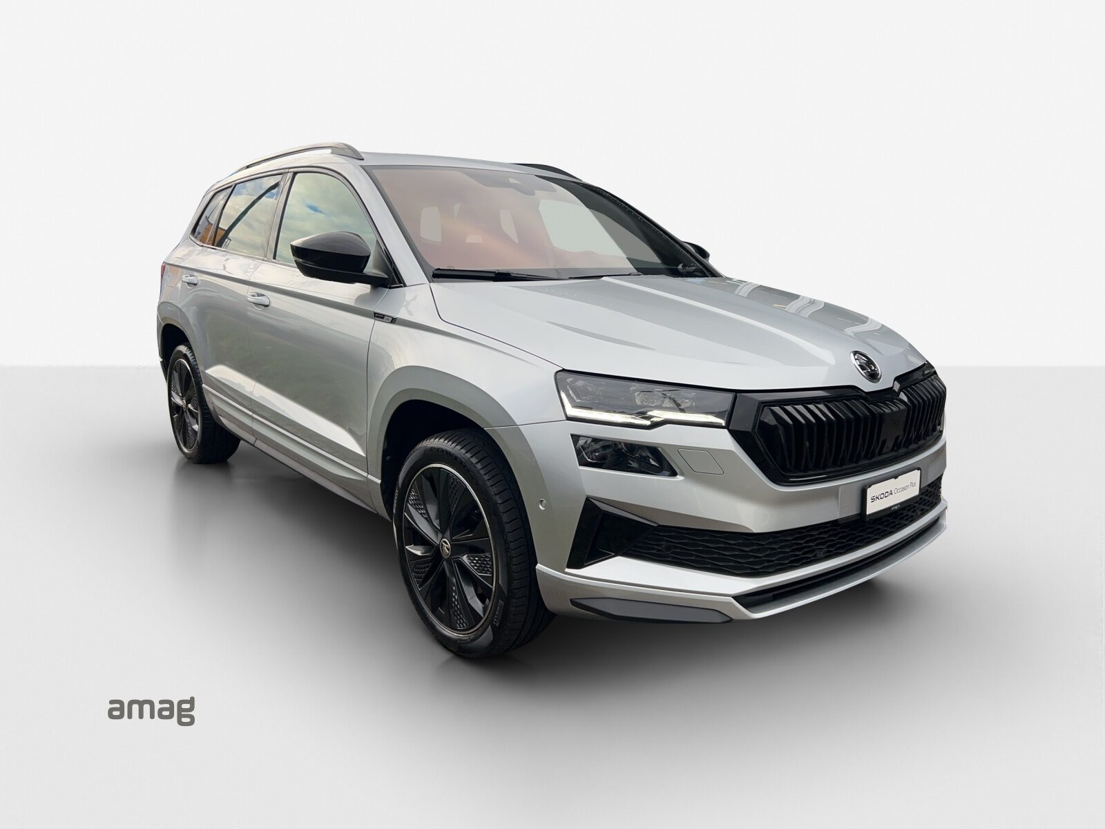 SKODA Karoq SportLine, Benzina, Occasioni / Usate, Automatico - 6