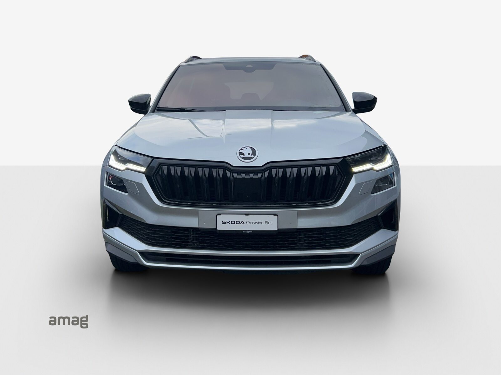 SKODA Karoq SportLine, Benzina, Occasioni / Usate, Automatico - 7