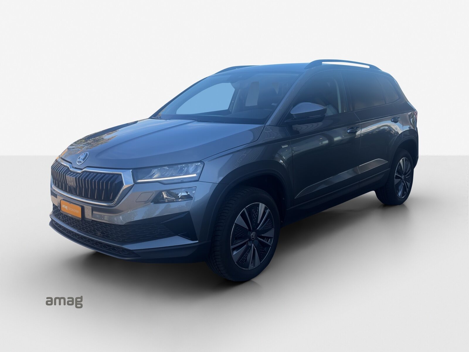 SKODA Karoq Tour (Netto)