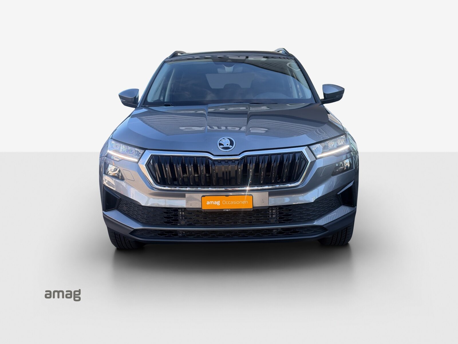 SKODA Karoq Tour (Netto), Essence, Occasion / Utilisé, Automatique - 7