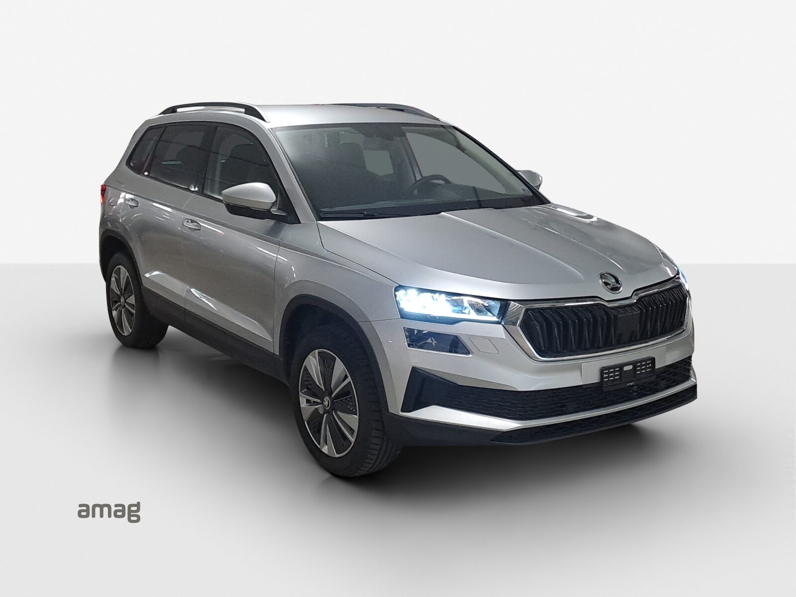 SKODA Karoq Ambition, Petrol, Second hand / Used, Automatic - 6