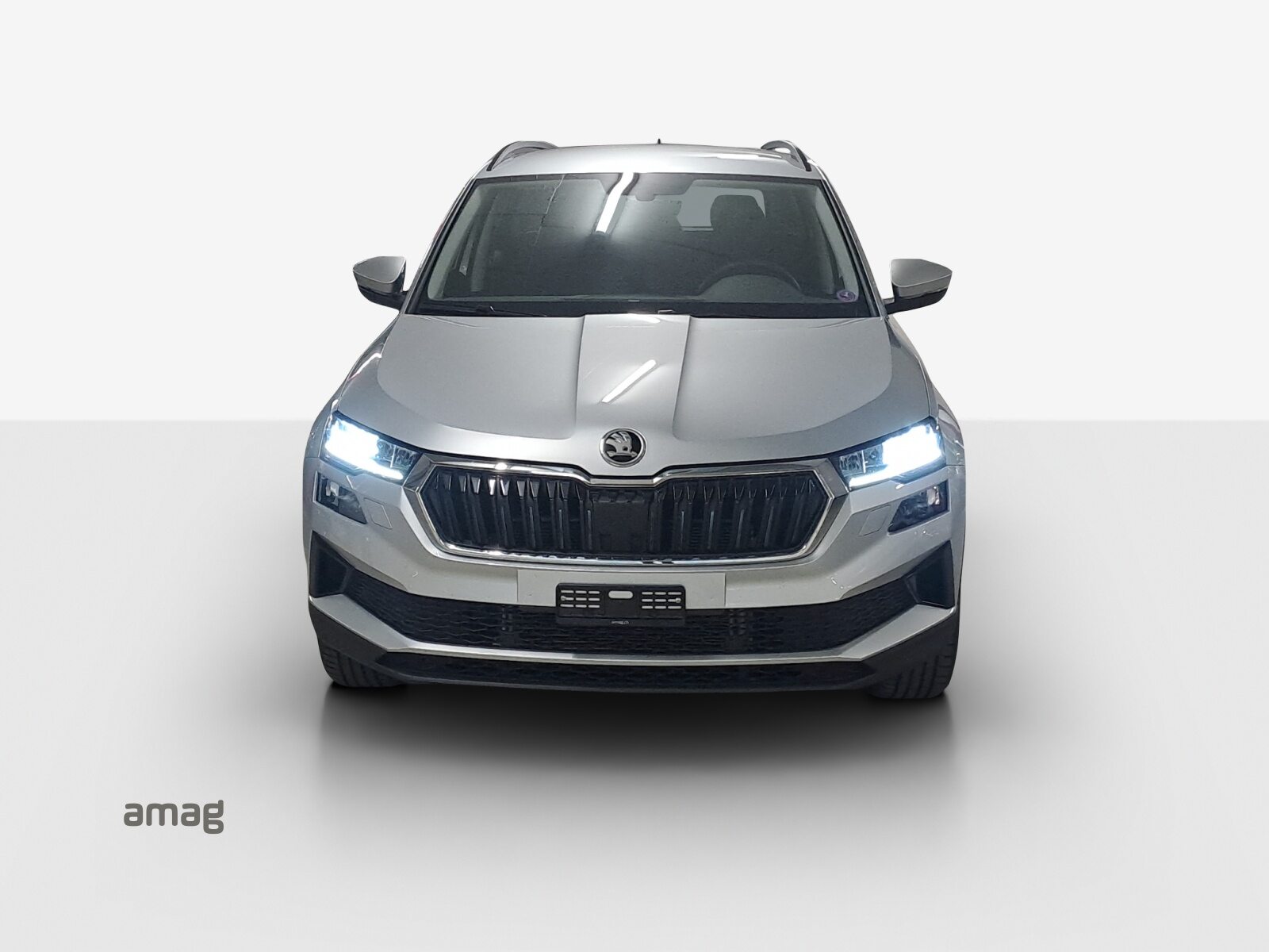 SKODA Karoq Ambition, Petrol, Second hand / Used, Automatic - 7