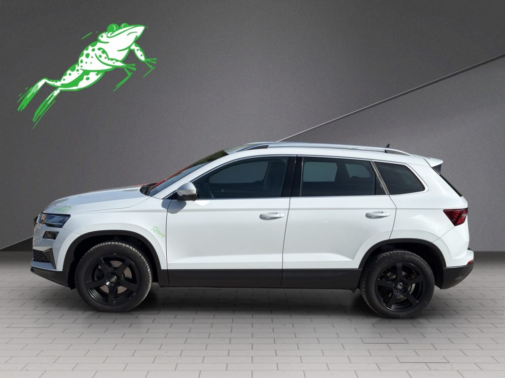 SKODA KAROQ 2.0 TDI Style 4x4 DSG, Diesel, Occasion / Utilisé, Automatique - 3
