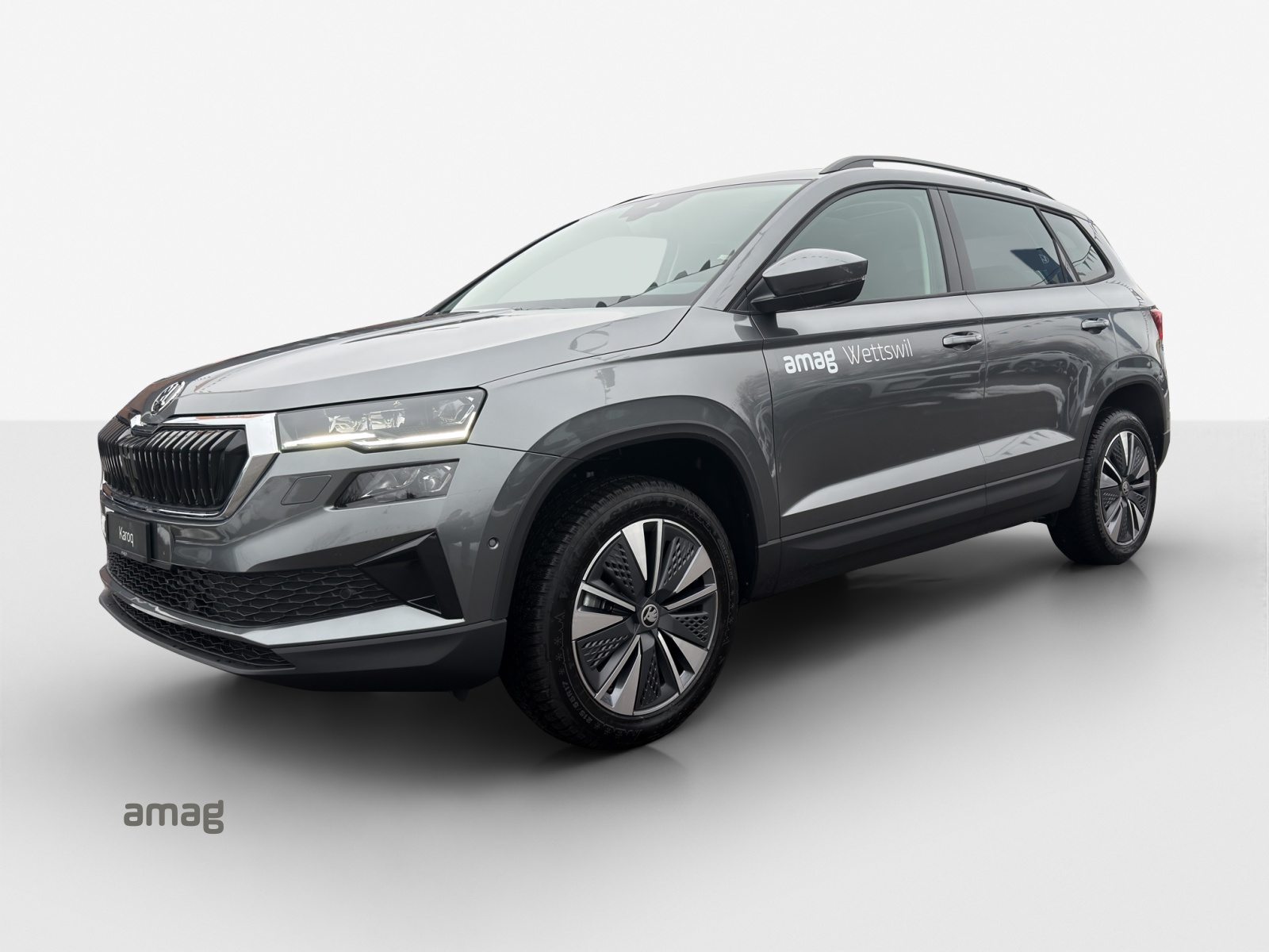 SKODA Karoq Dynamic (Netto)