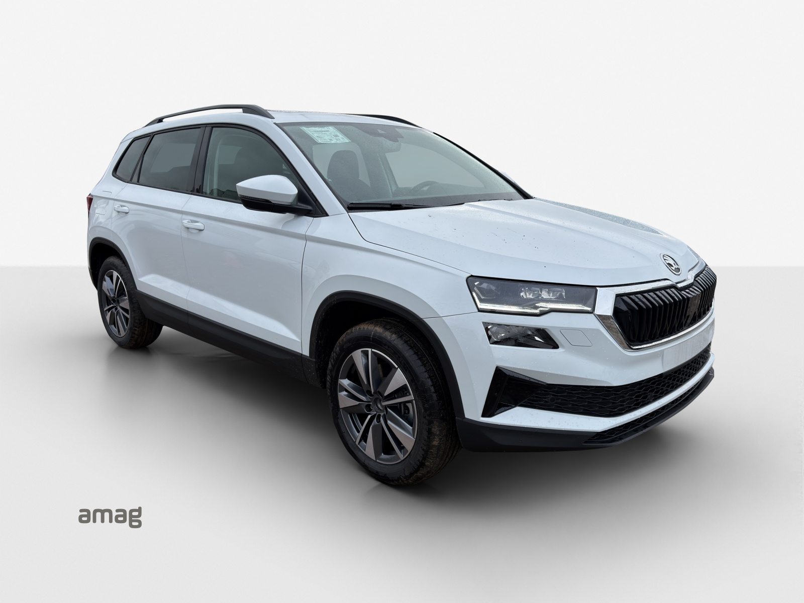SKODA Karoq Dynamic (Netto), Benzin, Vorführwagen, Automatik - 6
