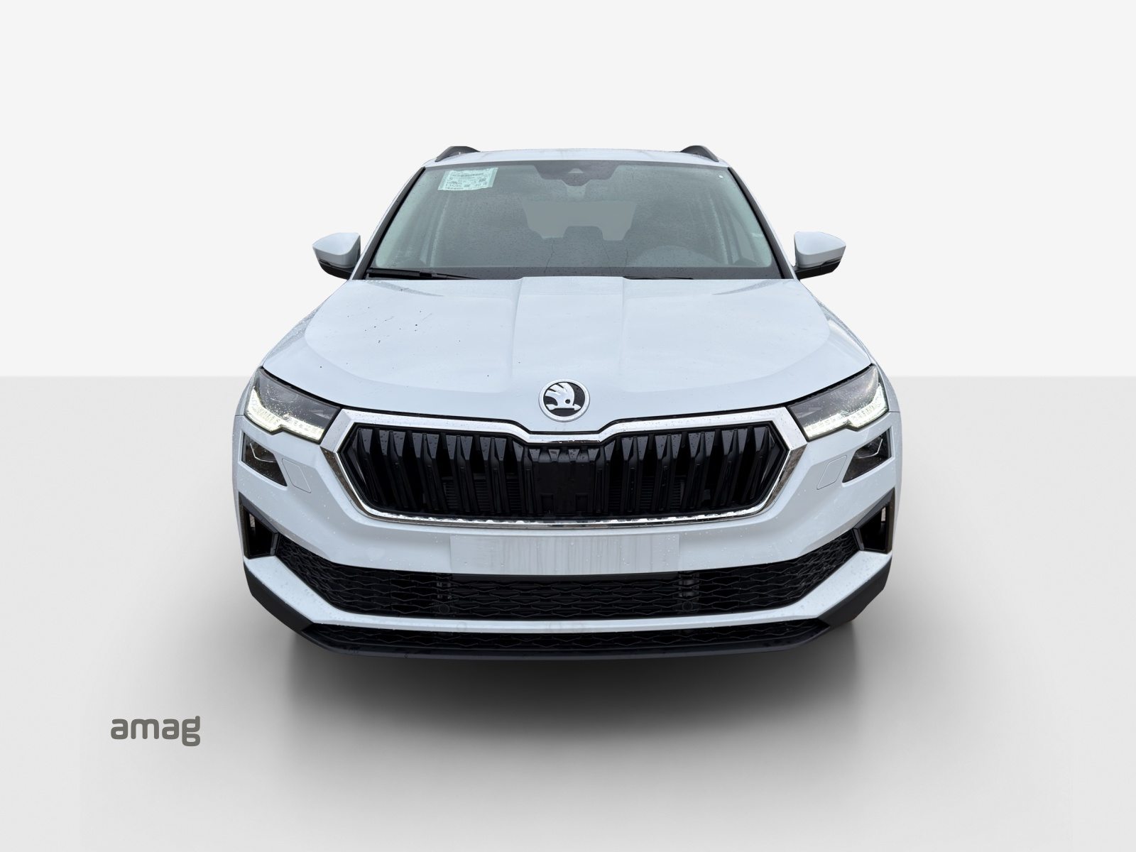 SKODA Karoq Dynamic (Netto), Benzin, Vorführwagen, Automatik - 7