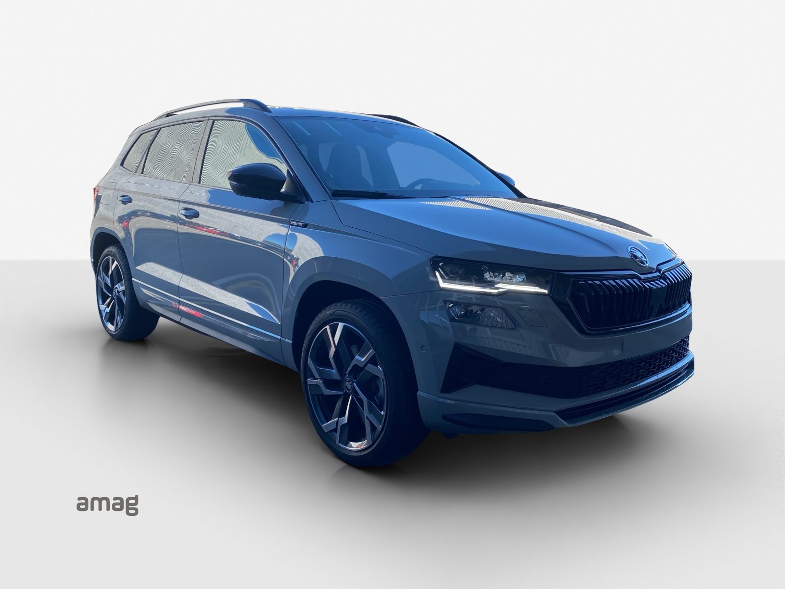 SKODA Karoq Sportline, Essence, Voiture de démonstration, Automatique - 6