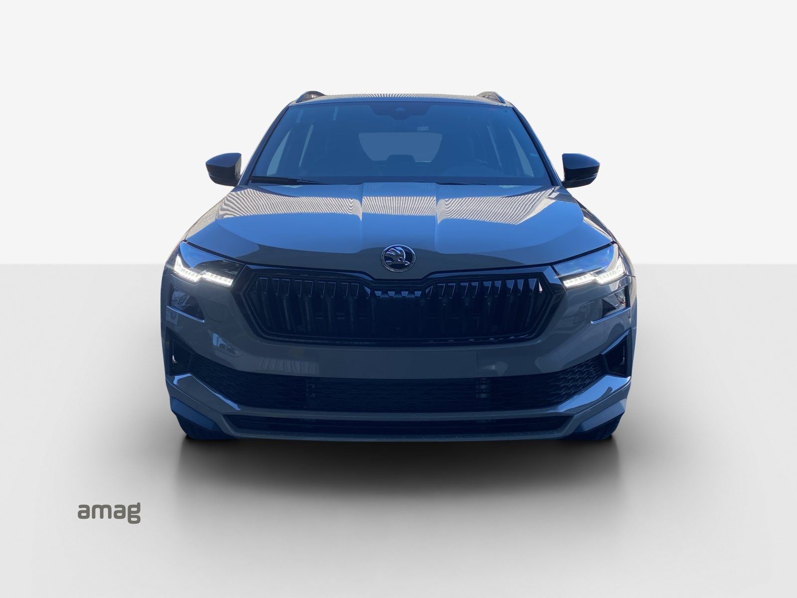 SKODA Karoq Sportline, Essence, Voiture de démonstration, Automatique - 7