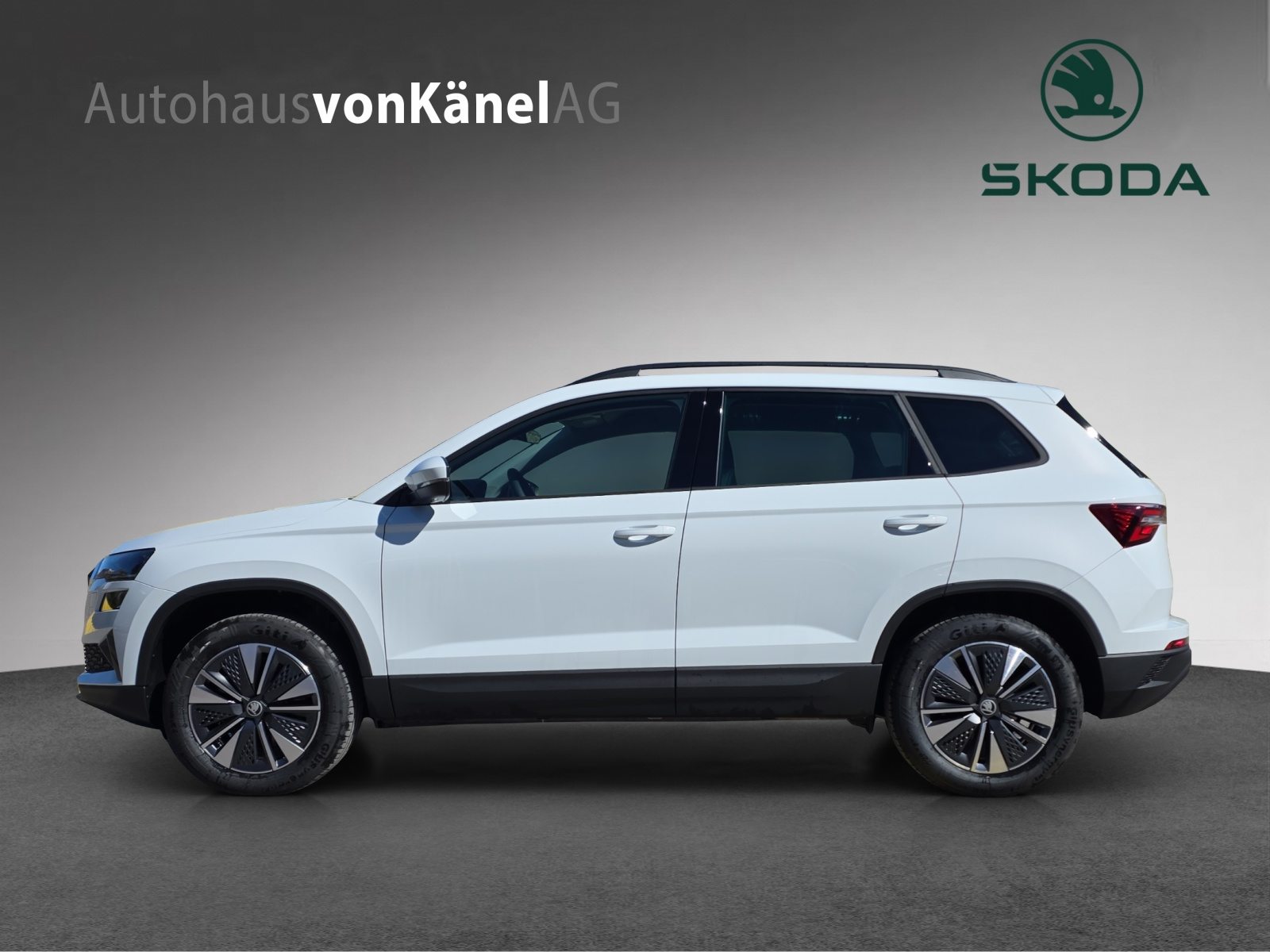 SKODA Karoq Dynamic (Netto), Diesel, Vorführwagen, Automatik - 2