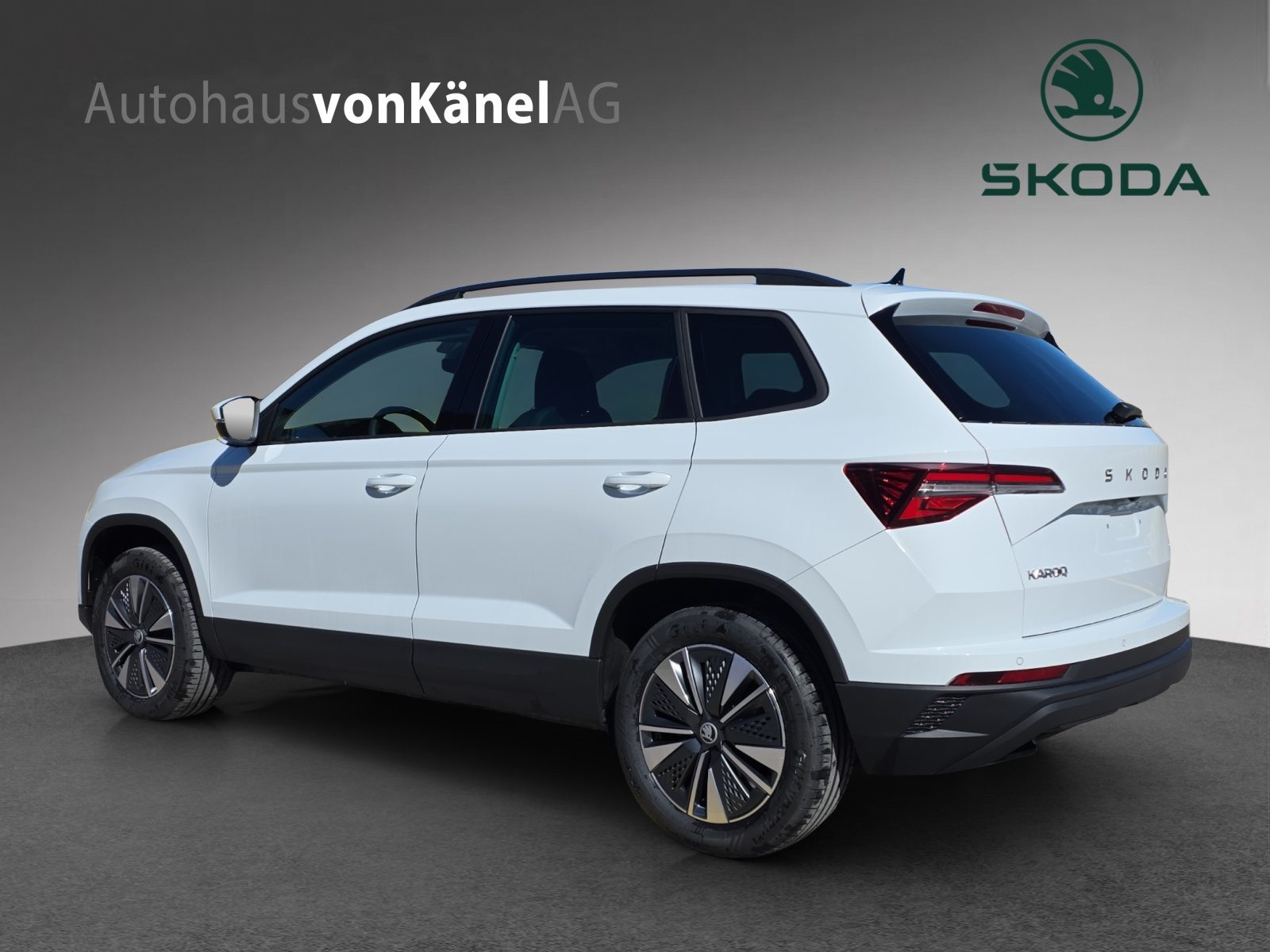 SKODA Karoq Dynamic (Netto), Diesel, Vorführwagen, Automatik - 3