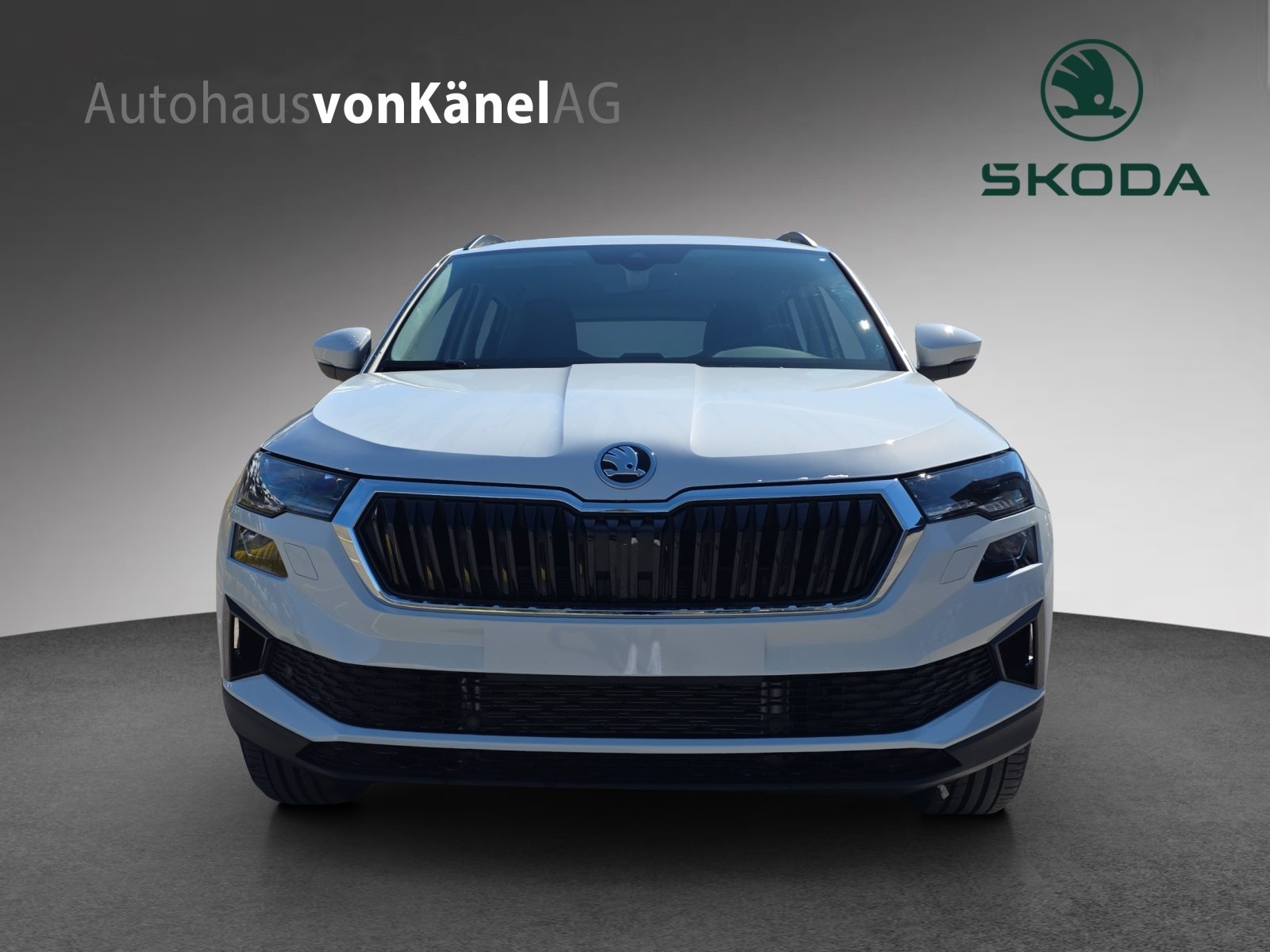 SKODA Karoq Dynamic (Netto), Diesel, Vorführwagen, Automatik - 4