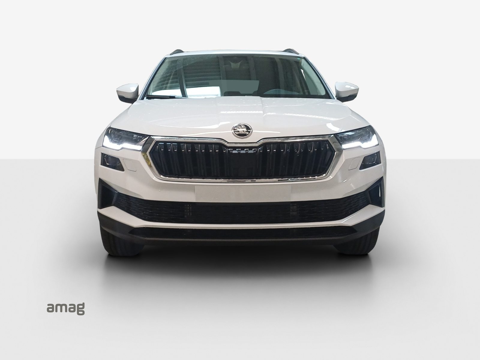SKODA Karoq Dynamic (Netto), Benzin, Vorführwagen, Automatik - 7