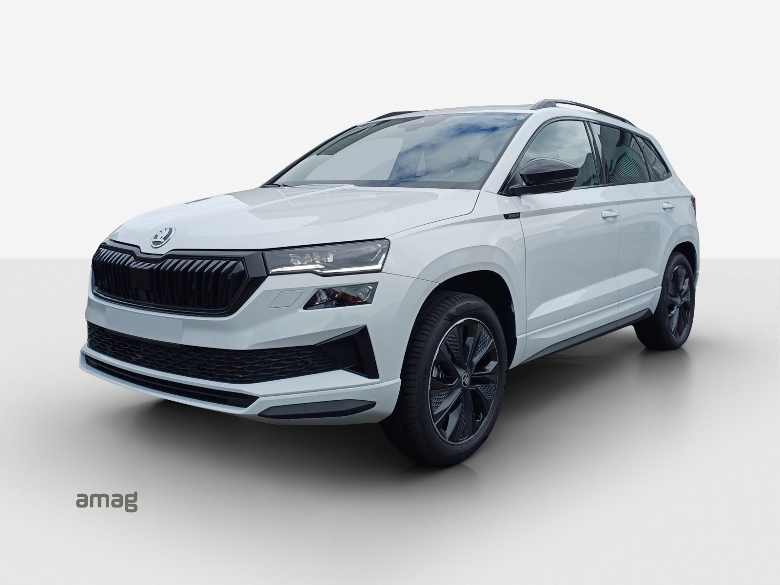SKODA Karoq «Dynamic» Limited Edition (Netto)