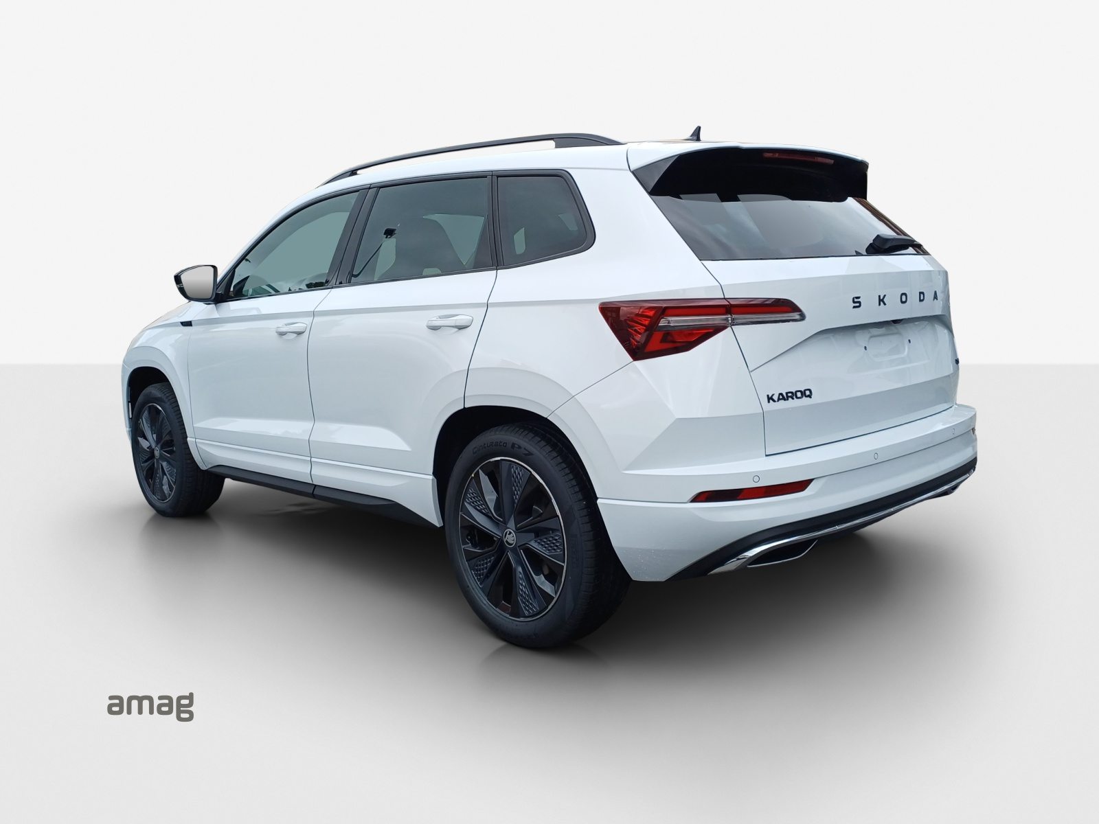 SKODA Karoq «Dynamic» Limited Edition (Netto), Petrol, Ex-demonstrator, Automatic - 3