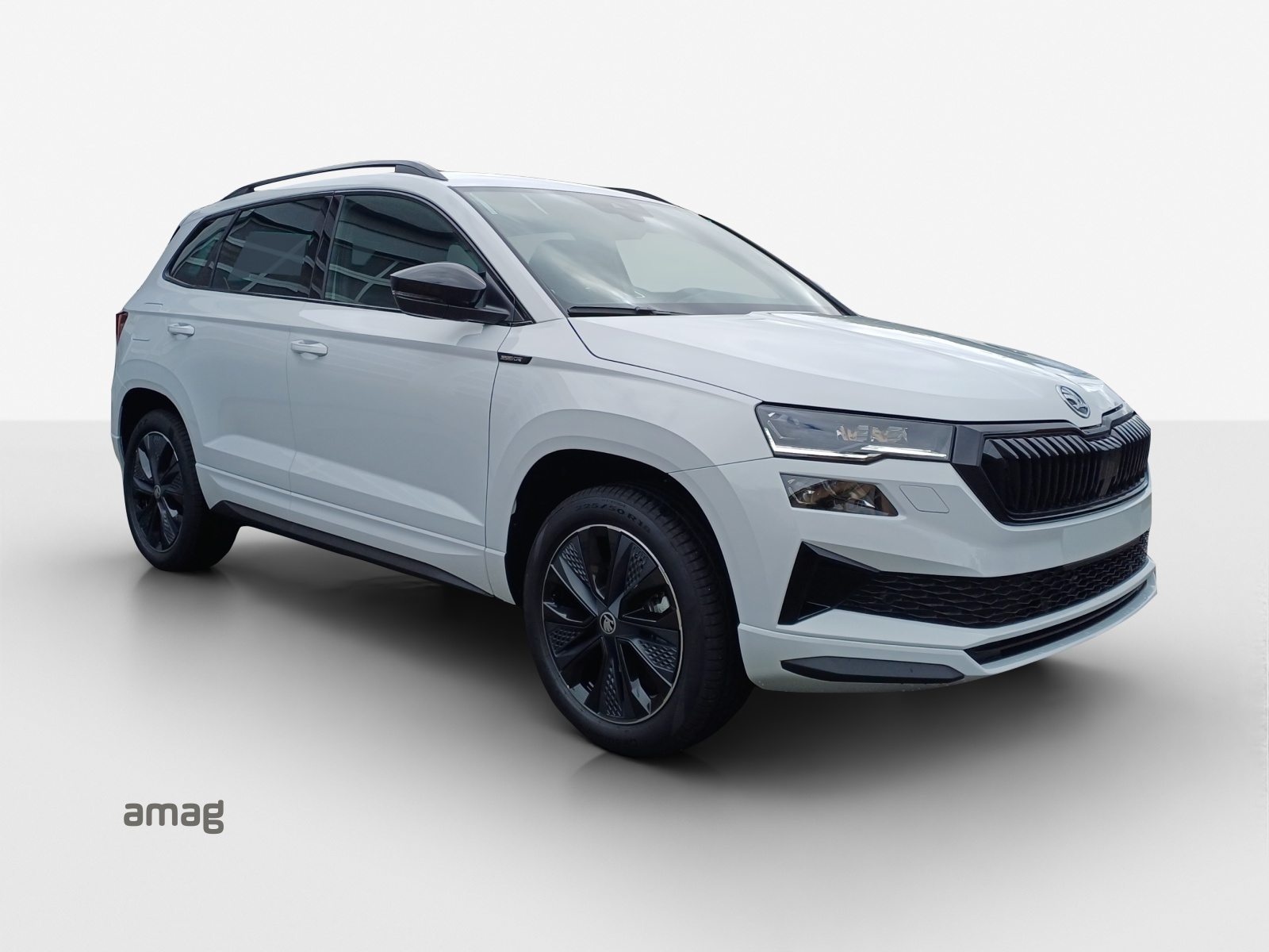 SKODA Karoq «Dynamic» Limited Edition (Netto), Petrol, Ex-demonstrator, Automatic - 6