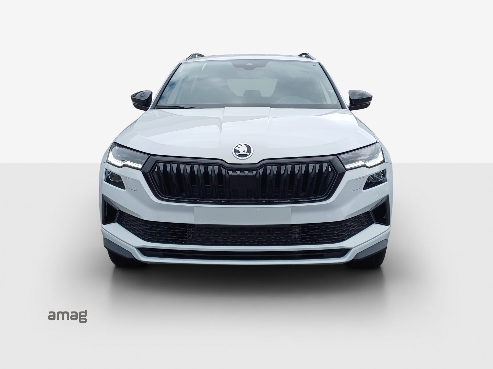 SKODA Karoq «Dynamic» Limited Edition (Netto), Petrol, Ex-demonstrator, Automatic - 7