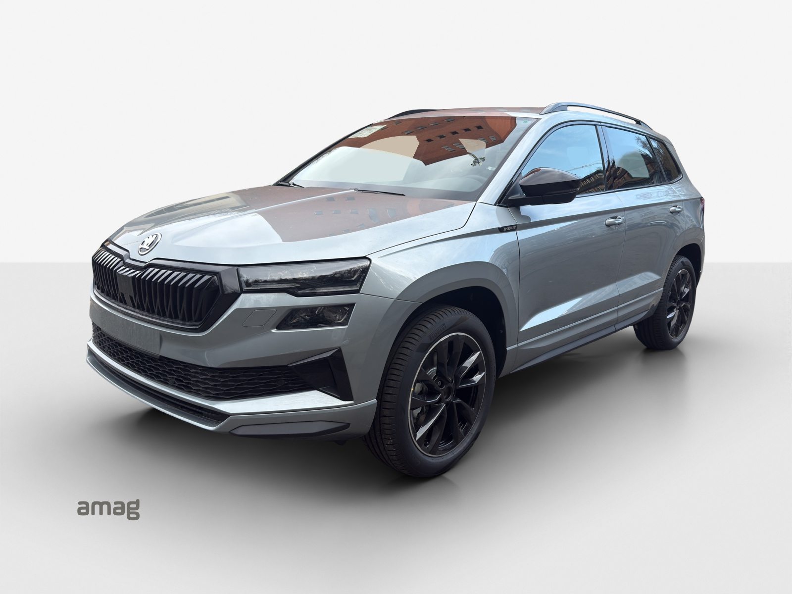 SKODA Karoq Dynamic (Netto)
