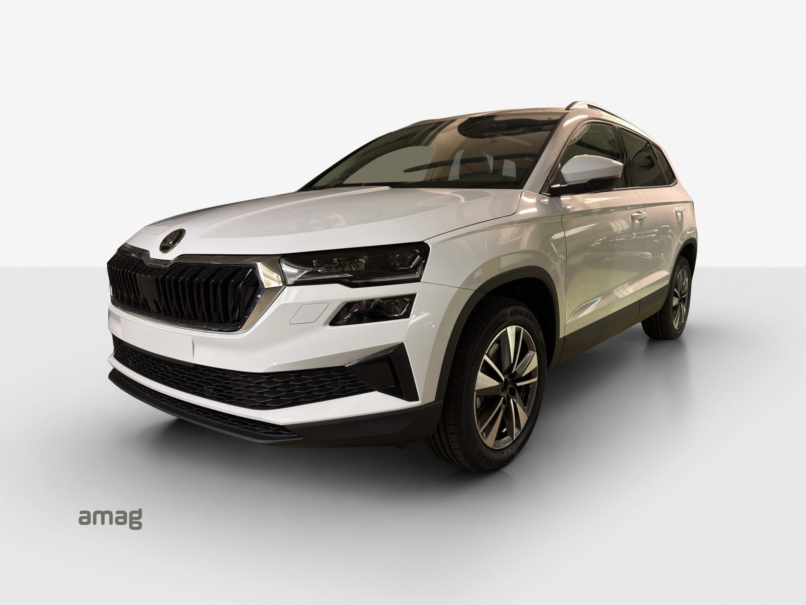 SKODA Karoq Dynamic (Netto)