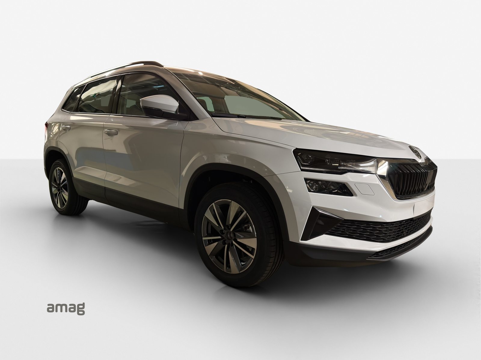 SKODA Karoq Dynamic (Netto), Essence, Voiture de démonstration, Automatique - 6