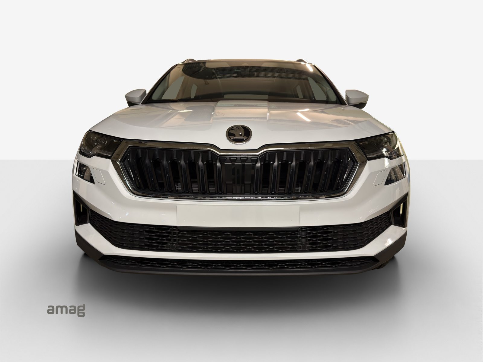 SKODA Karoq Dynamic (Netto), Essence, Voiture de démonstration, Automatique - 7