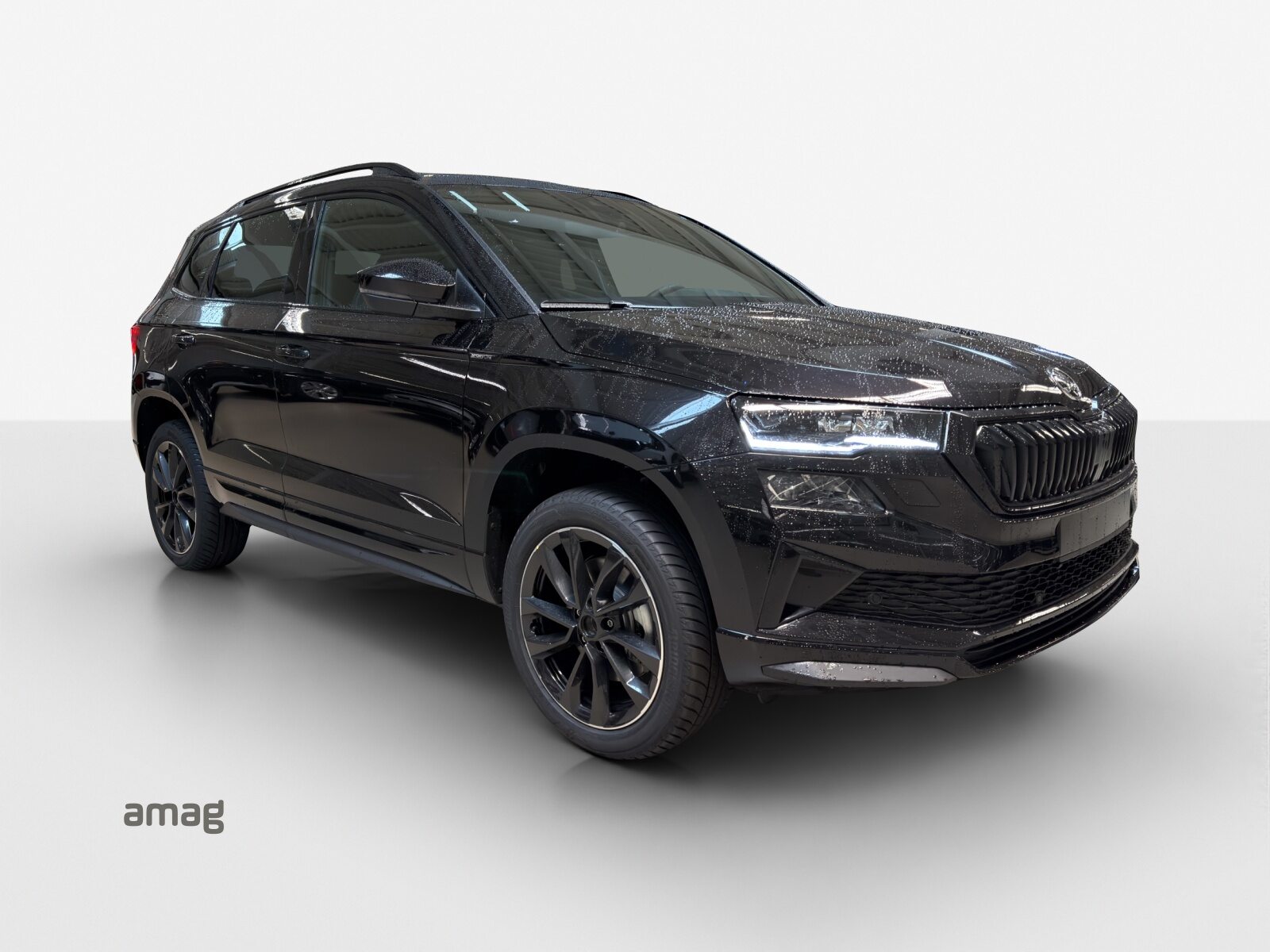 SKODA Karoq Sportline, Benzina, Auto dimostrativa, Automatico - 6