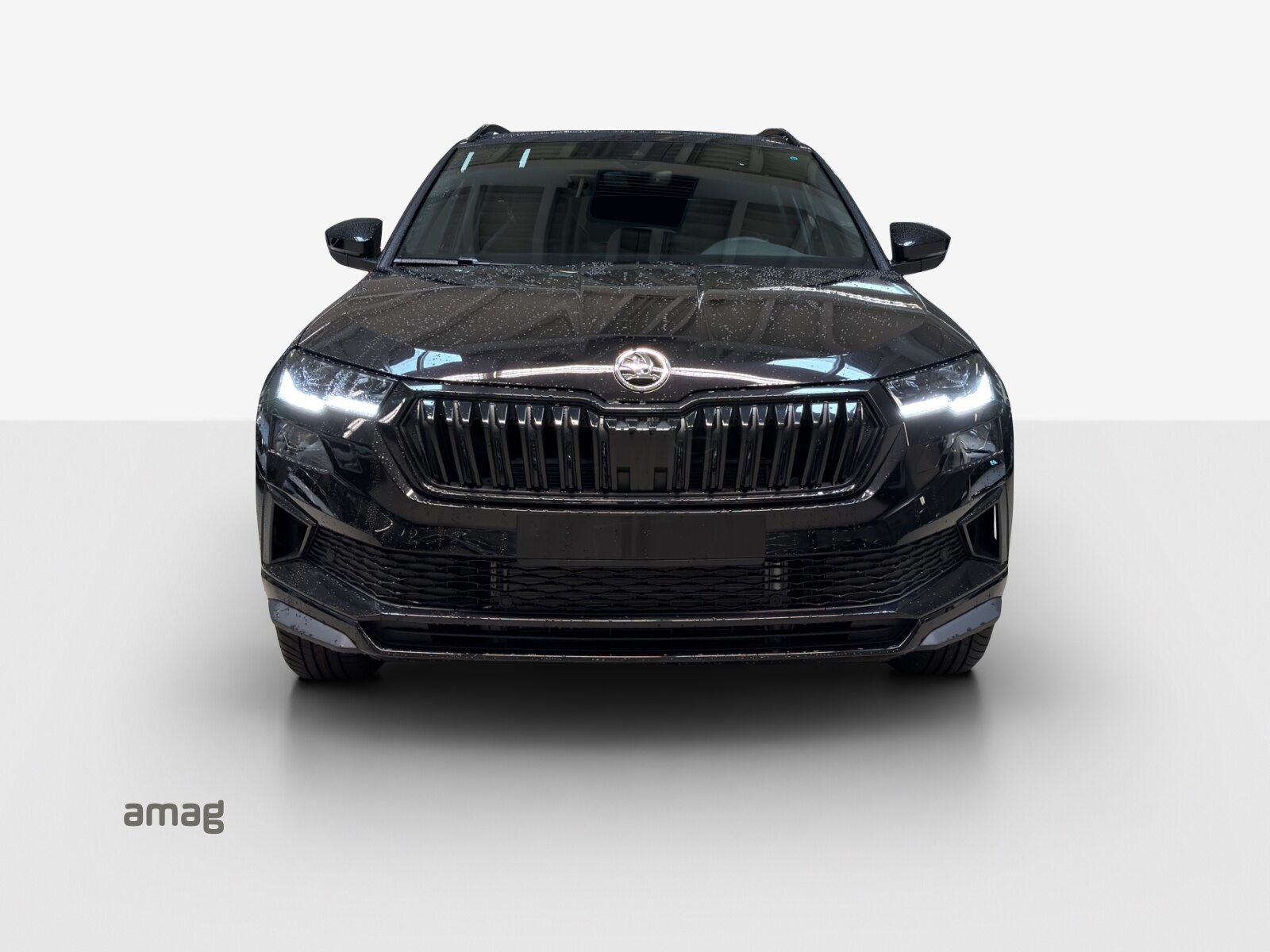 SKODA Karoq Sportline, Benzina, Auto dimostrativa, Automatico - 7