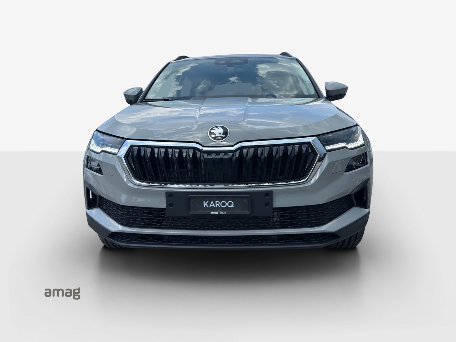 SKODA Karoq Dynamic (Netto), Diesel, Ex-demonstrator, Automatic - 7