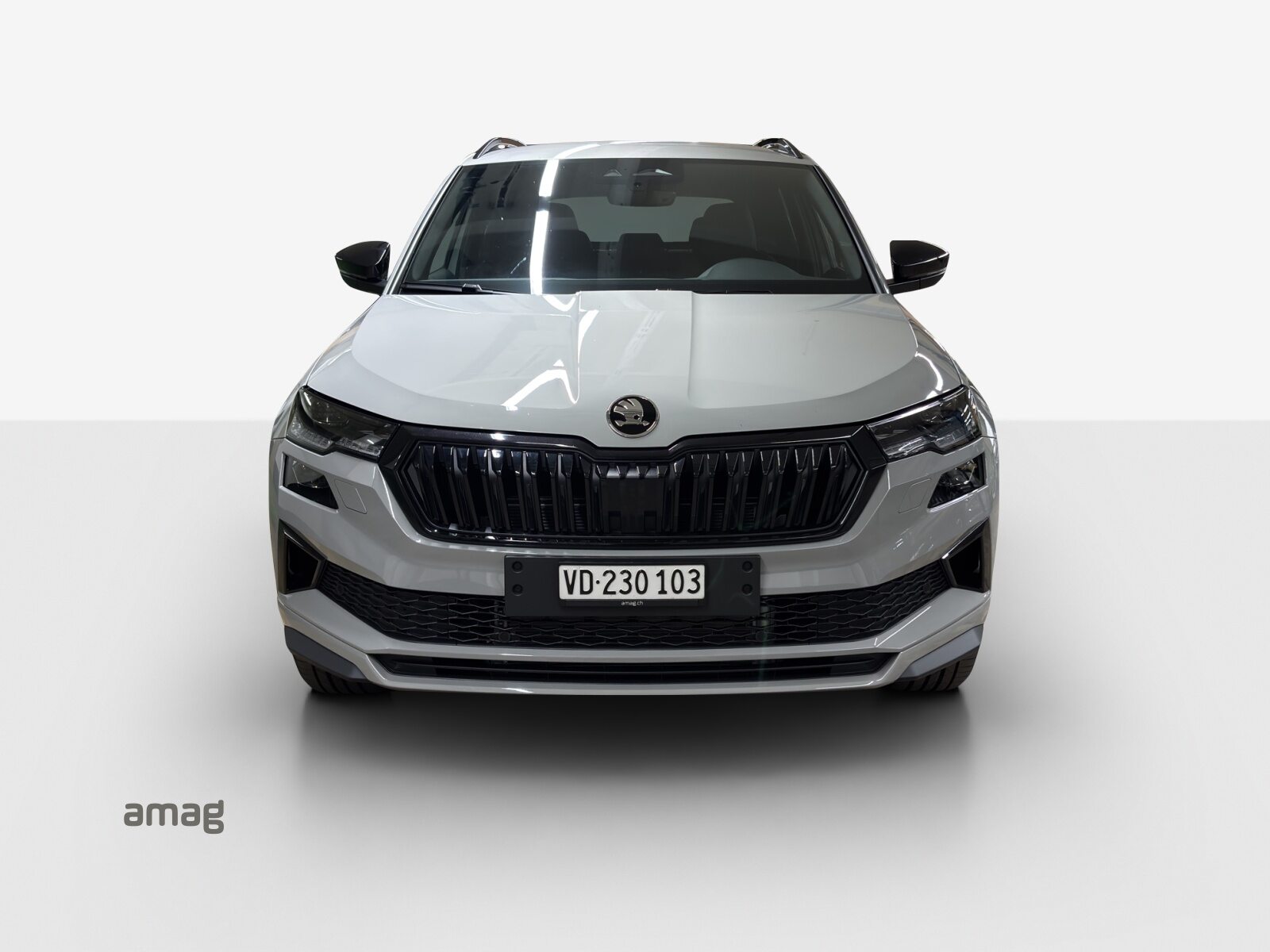 SKODA Karoq Sportline, Essence, Voiture de démonstration, Automatique - 7