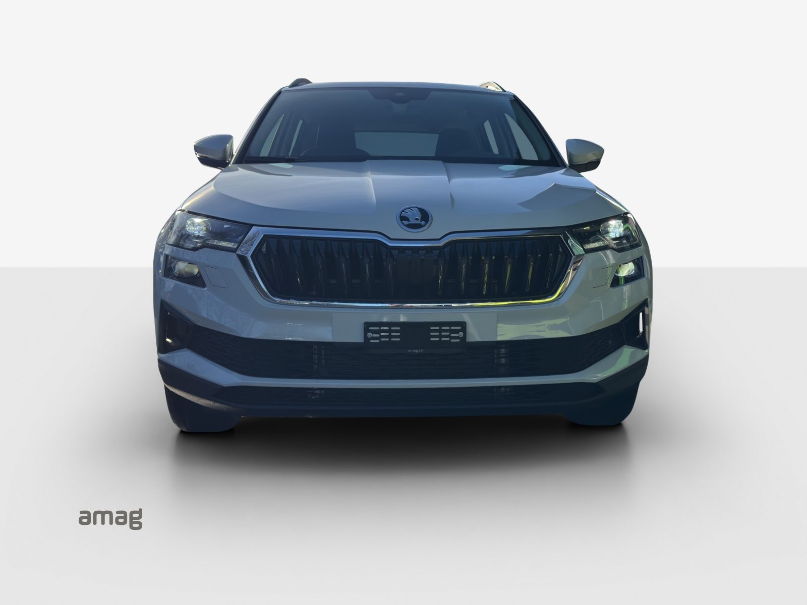 SKODA Karoq Selection, Essence, Voiture nouvelle, Automatique - 7