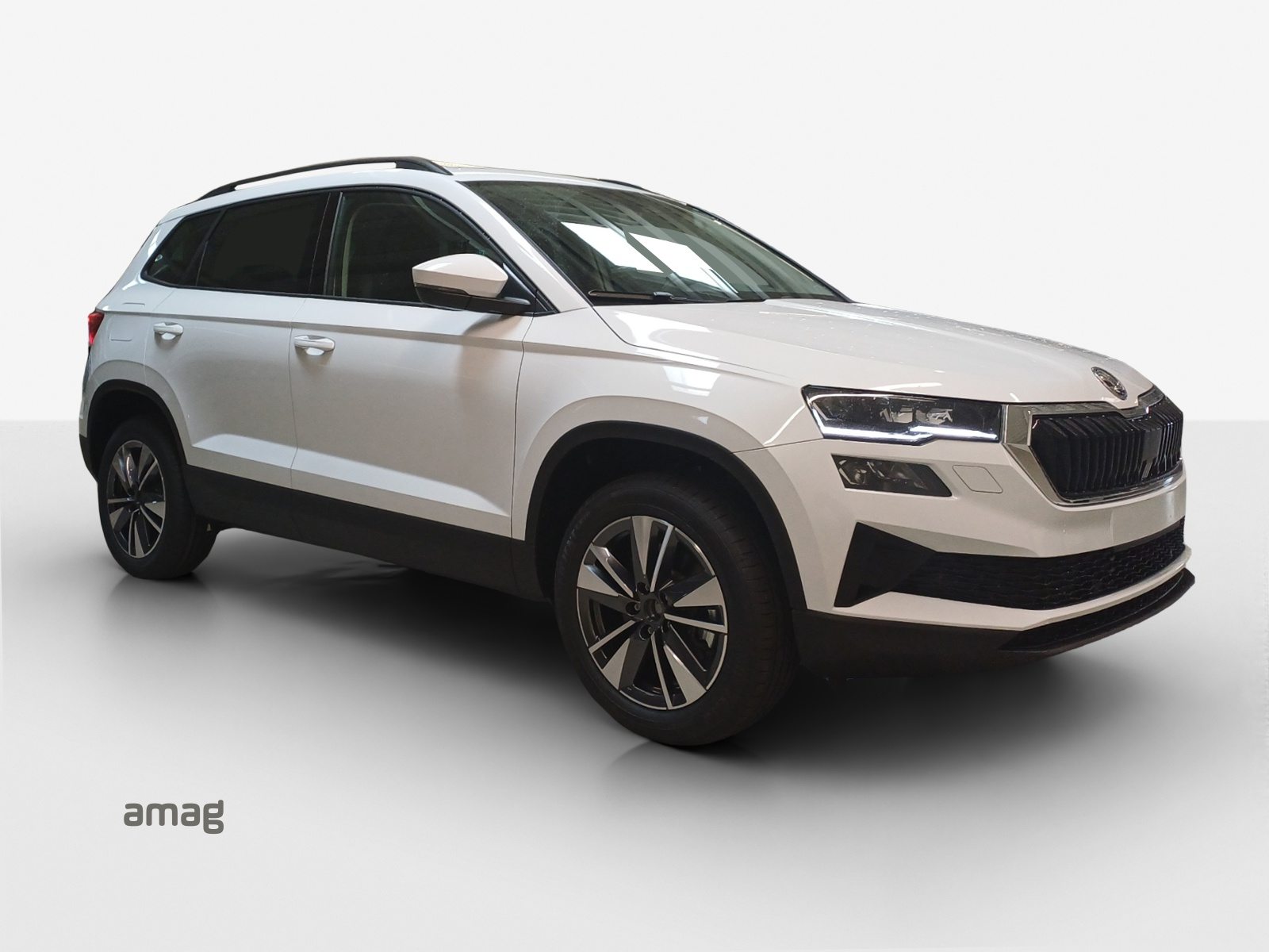 SKODA Karoq Dynamic (Netto), Essence, Voiture nouvelle, Automatique - 6
