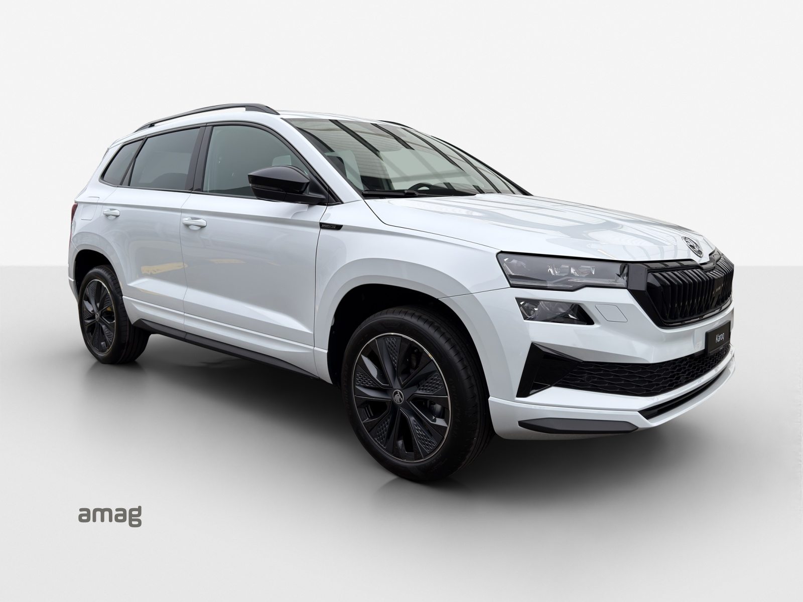 SKODA Karoq Sportline, Essence, Voiture nouvelle, Automatique - 6