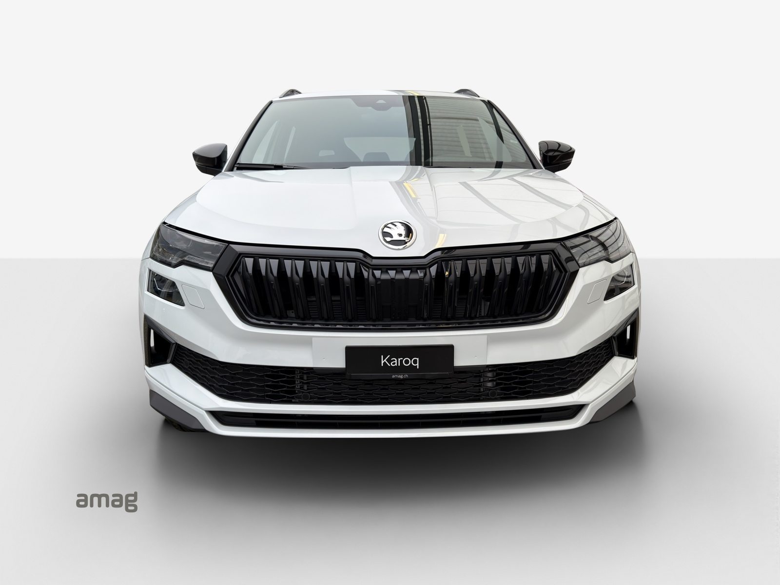 SKODA Karoq Sportline, Essence, Voiture nouvelle, Automatique - 7