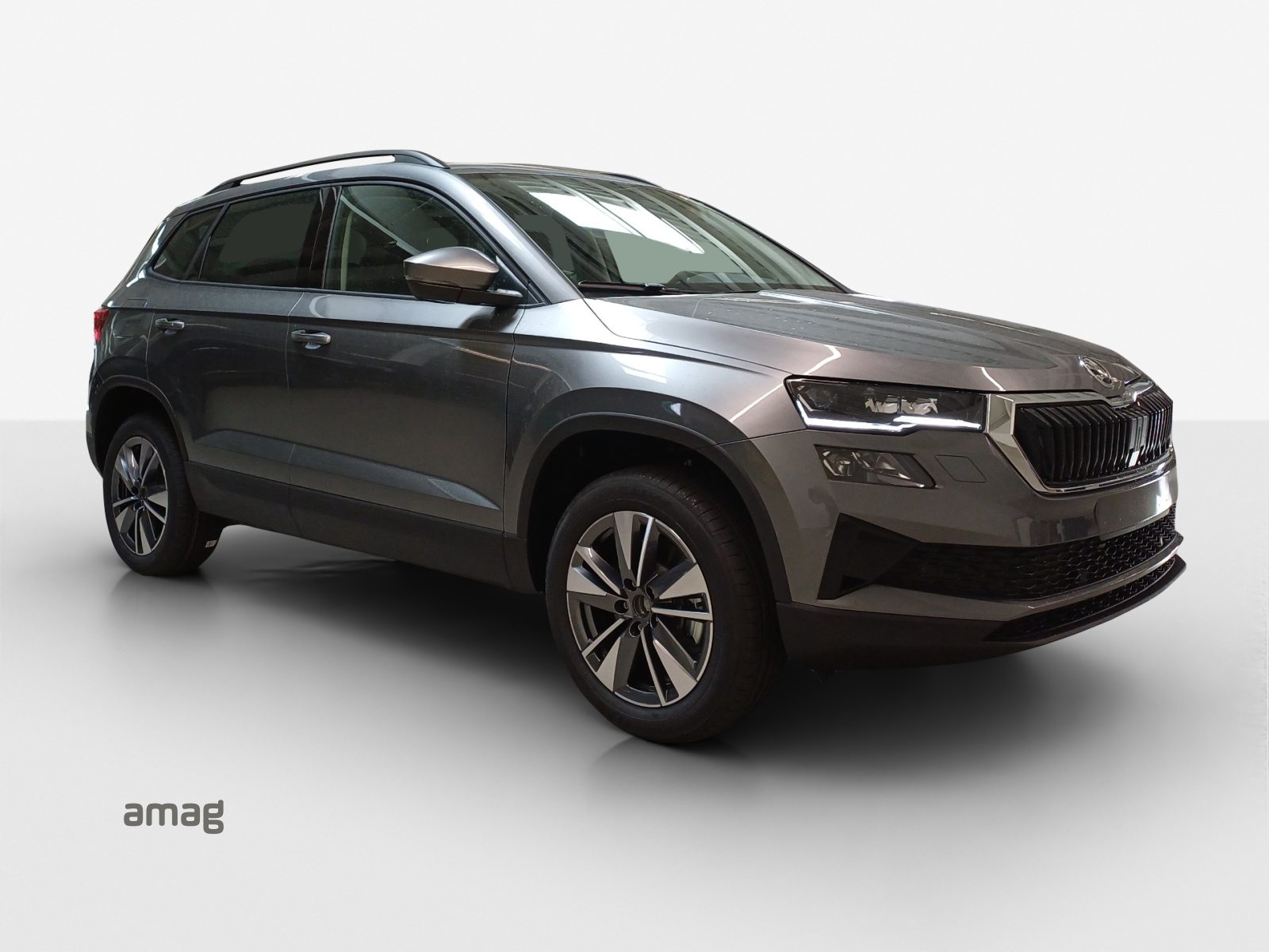 SKODA Karoq Dynamic (Netto), Benzin, Neuwagen, Automat - 6