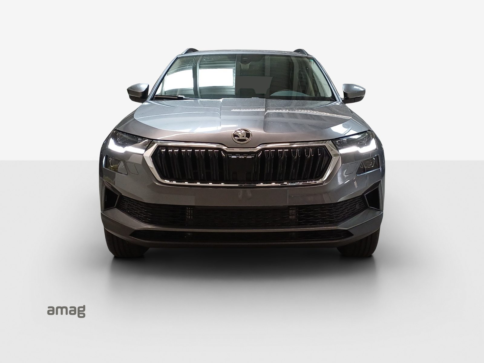 SKODA Karoq Dynamic (Netto), Benzin, Neuwagen, Automat - 7