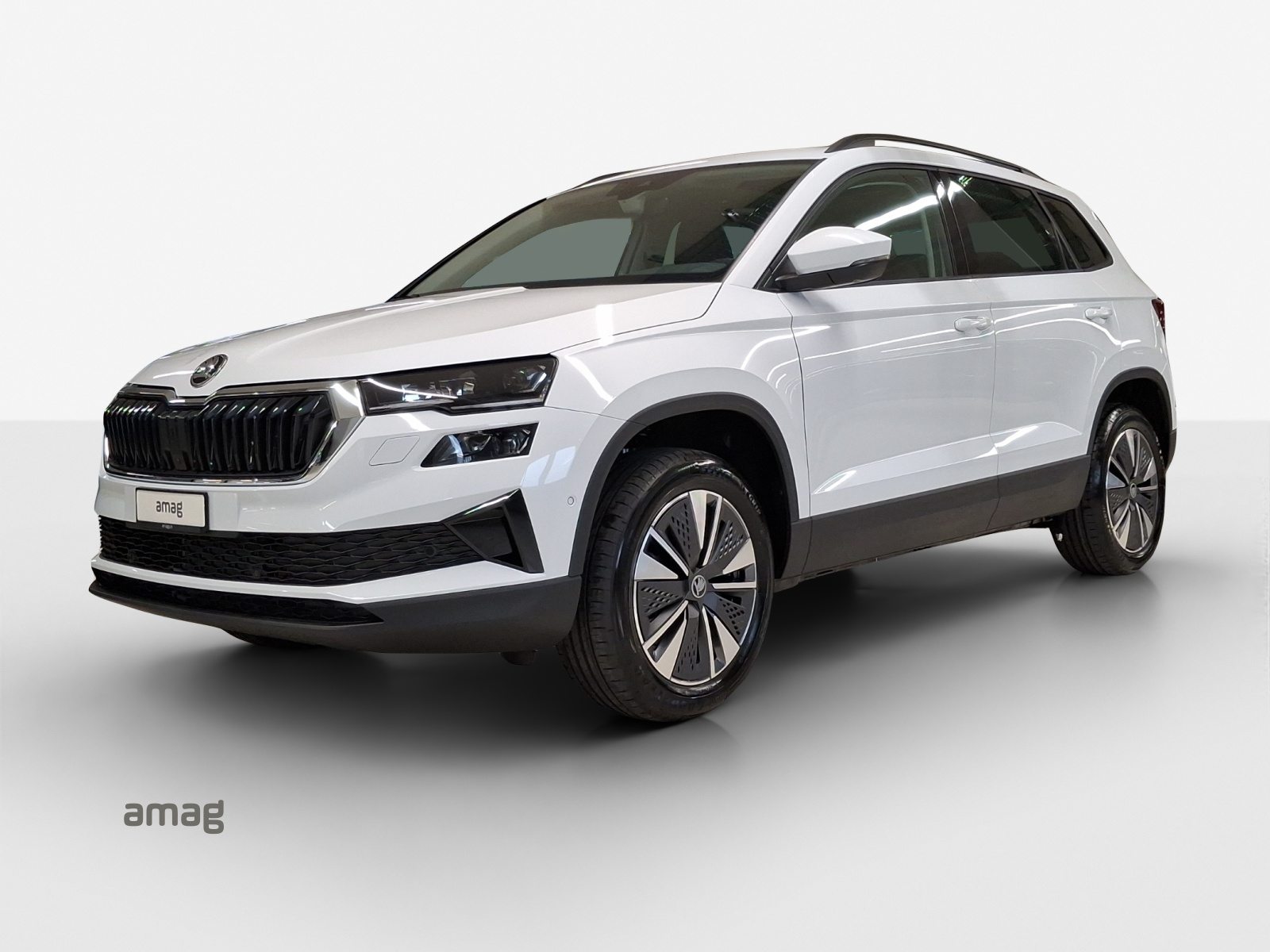 SKODA Karoq Dynamic (Netto), Benzin, Neuwagen, Automat