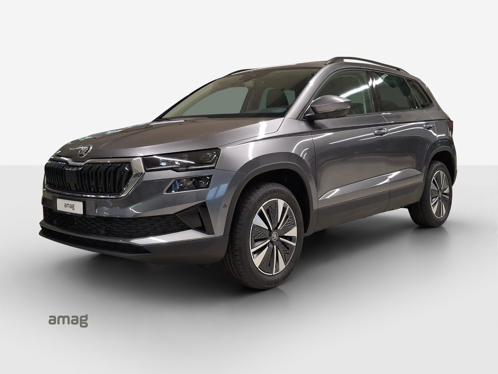 SKODA Karoq Dynamic (Netto), Petrol, New car, Automatic