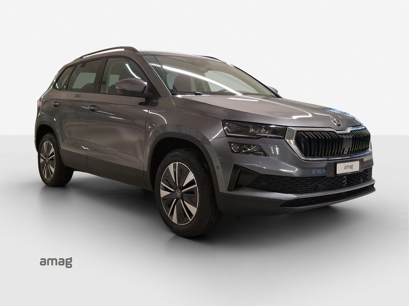 SKODA Karoq Dynamic (Netto), Petrol, New car, Automatic - 6