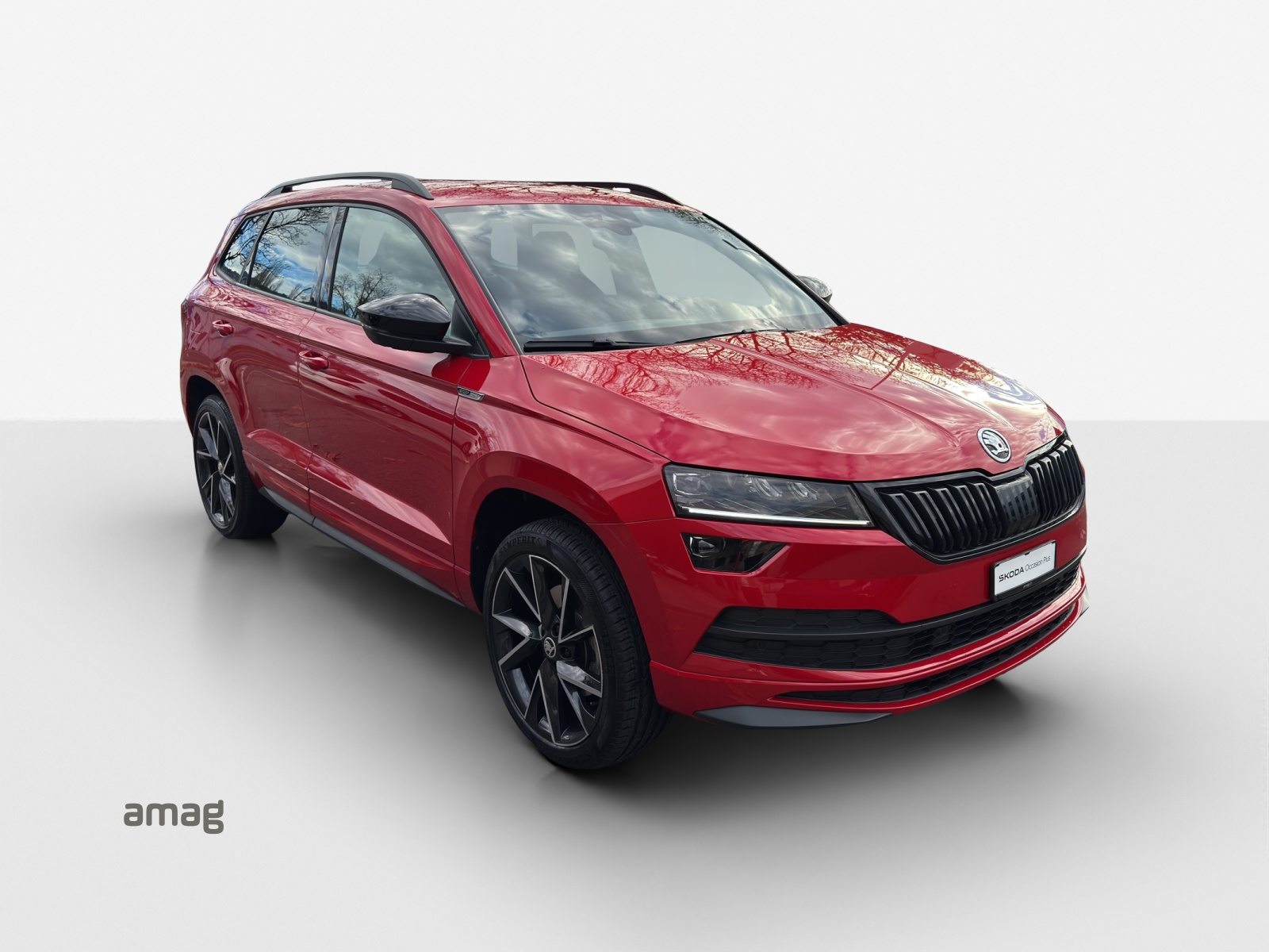 SKODA KAROQ SportLine, Essence, Occasion / Utilisé, Automatique - 6