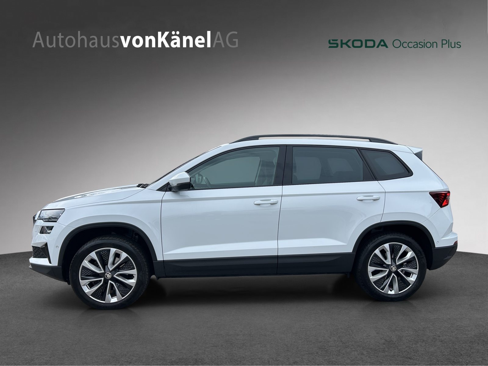 SKODA Karoq Style, Diesel, Occasioni / Usate, Automatico - 2