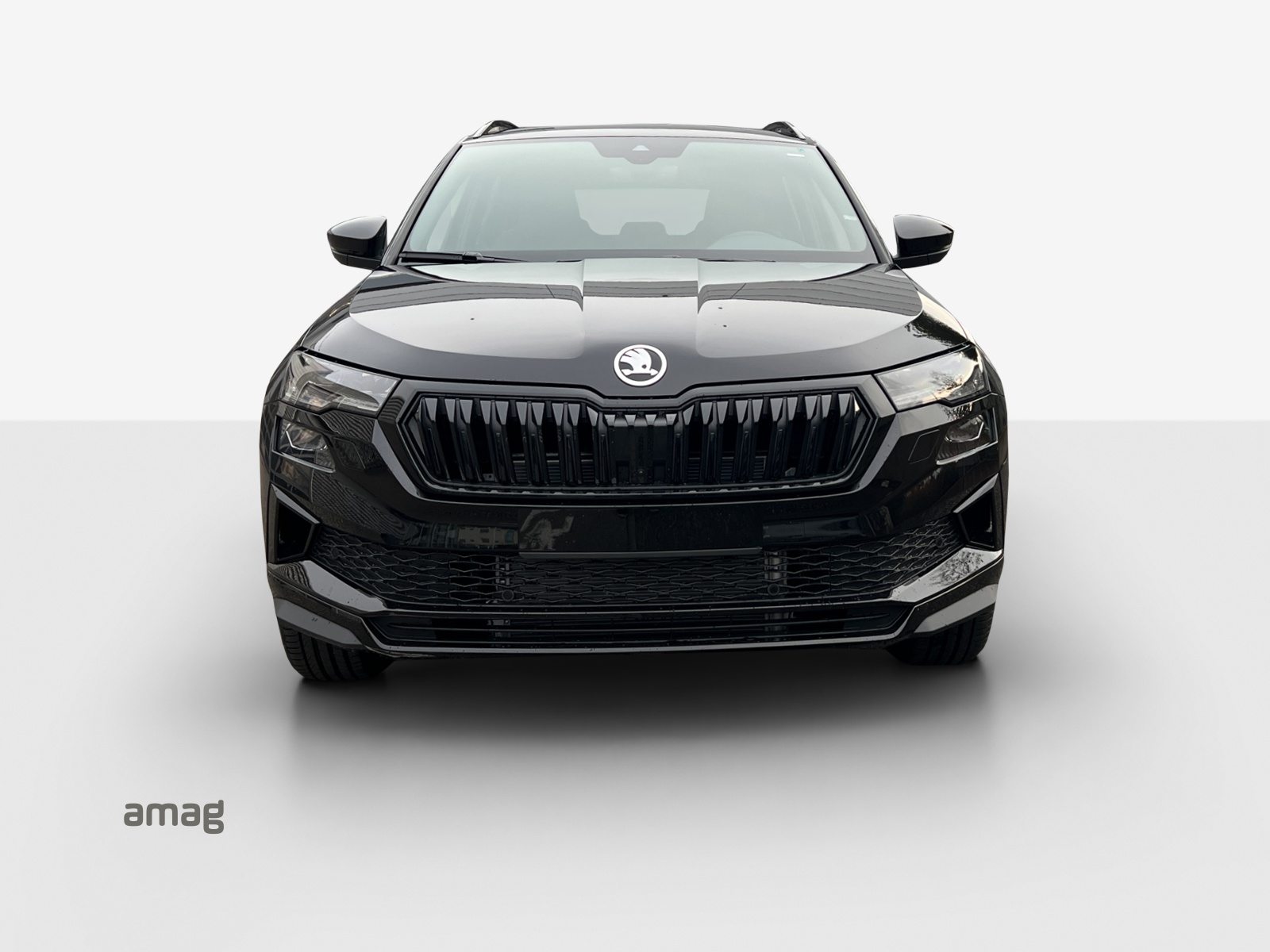 SKODA Karoq Sportline, Essence, Voiture de démonstration, Automatique - 7