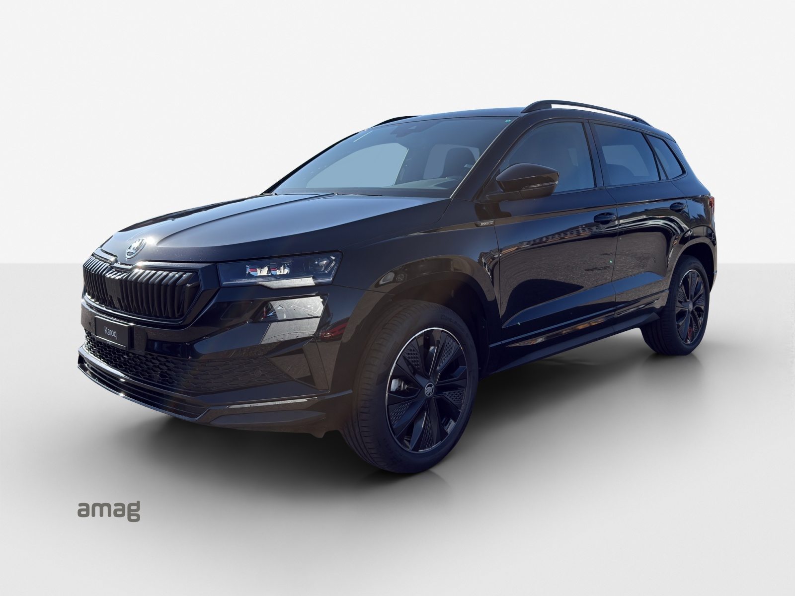 SKODA Karoq «Dynamic» Limited Edition (Netto)