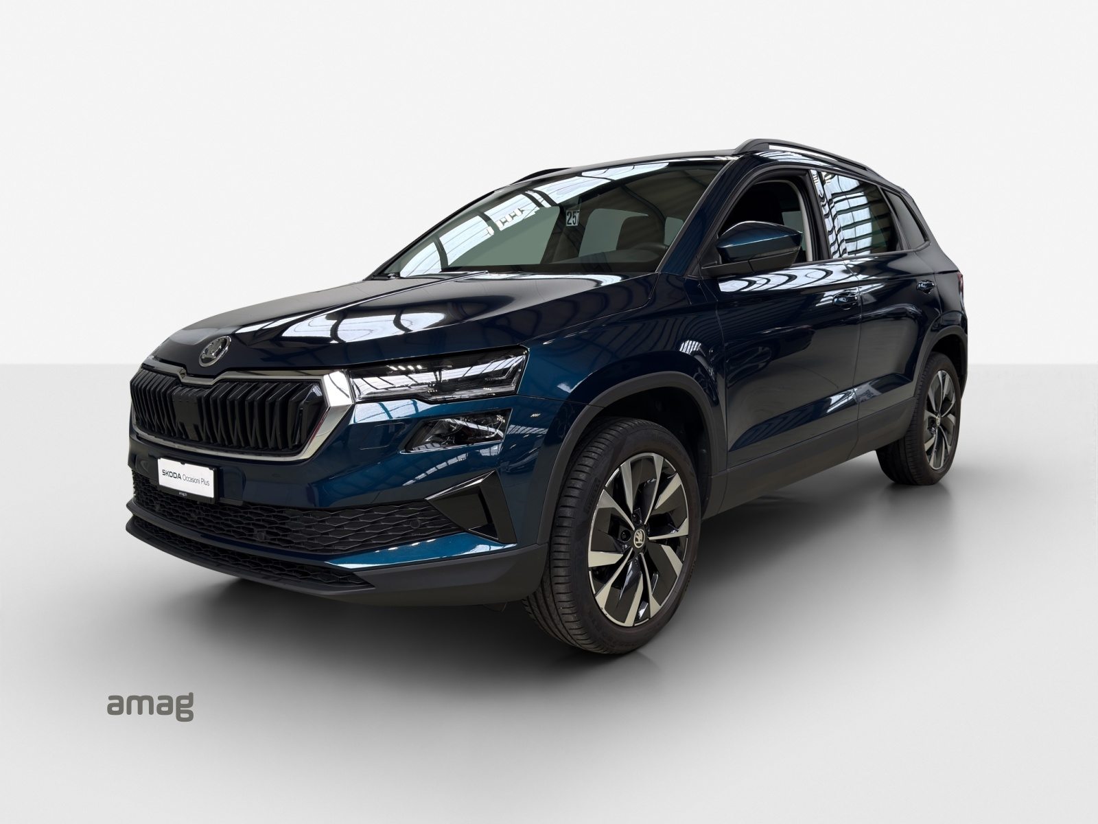 SKODA NEW KAROQ Style