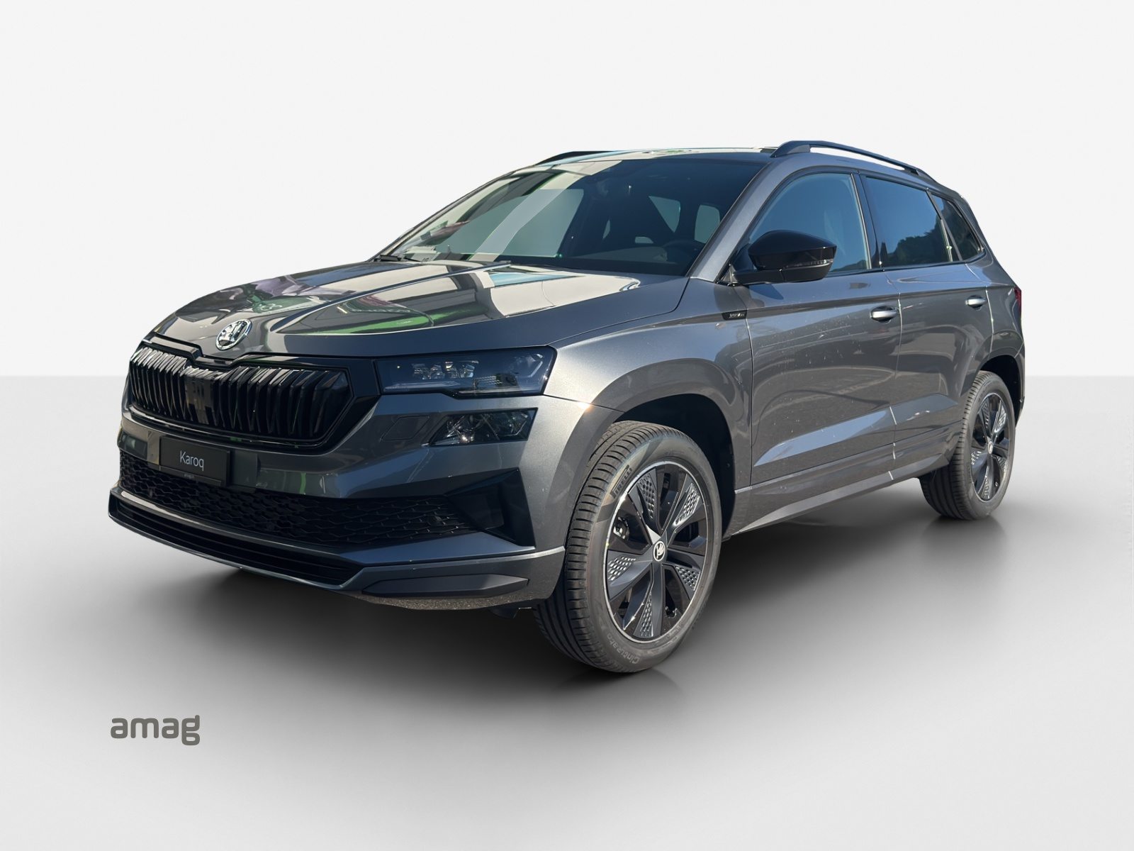 SKODA Karoq «Dynamic» Limited Edition (Netto)