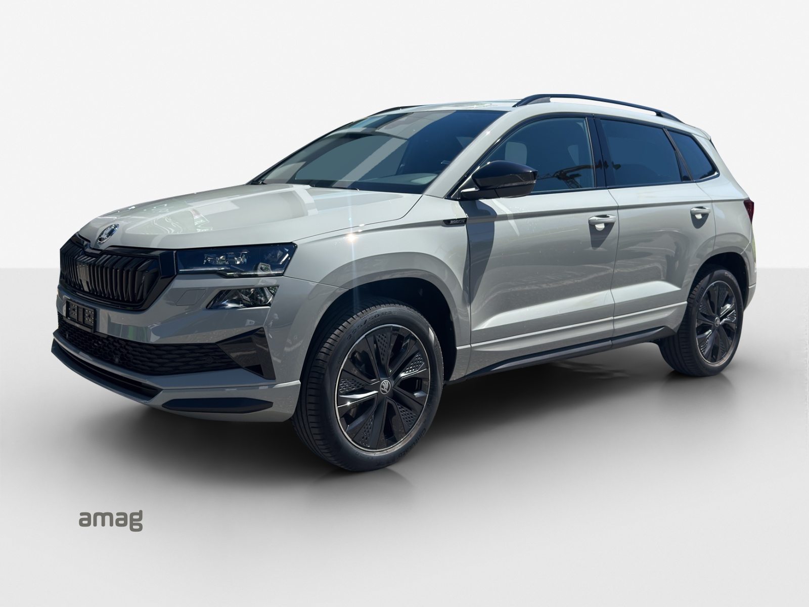 SKODA Karoq «Dynamic» Limited Edition (Netto)