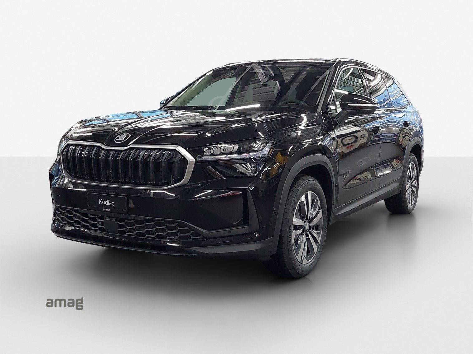 SKODA Kodiaq iV Dynamic (Netto)