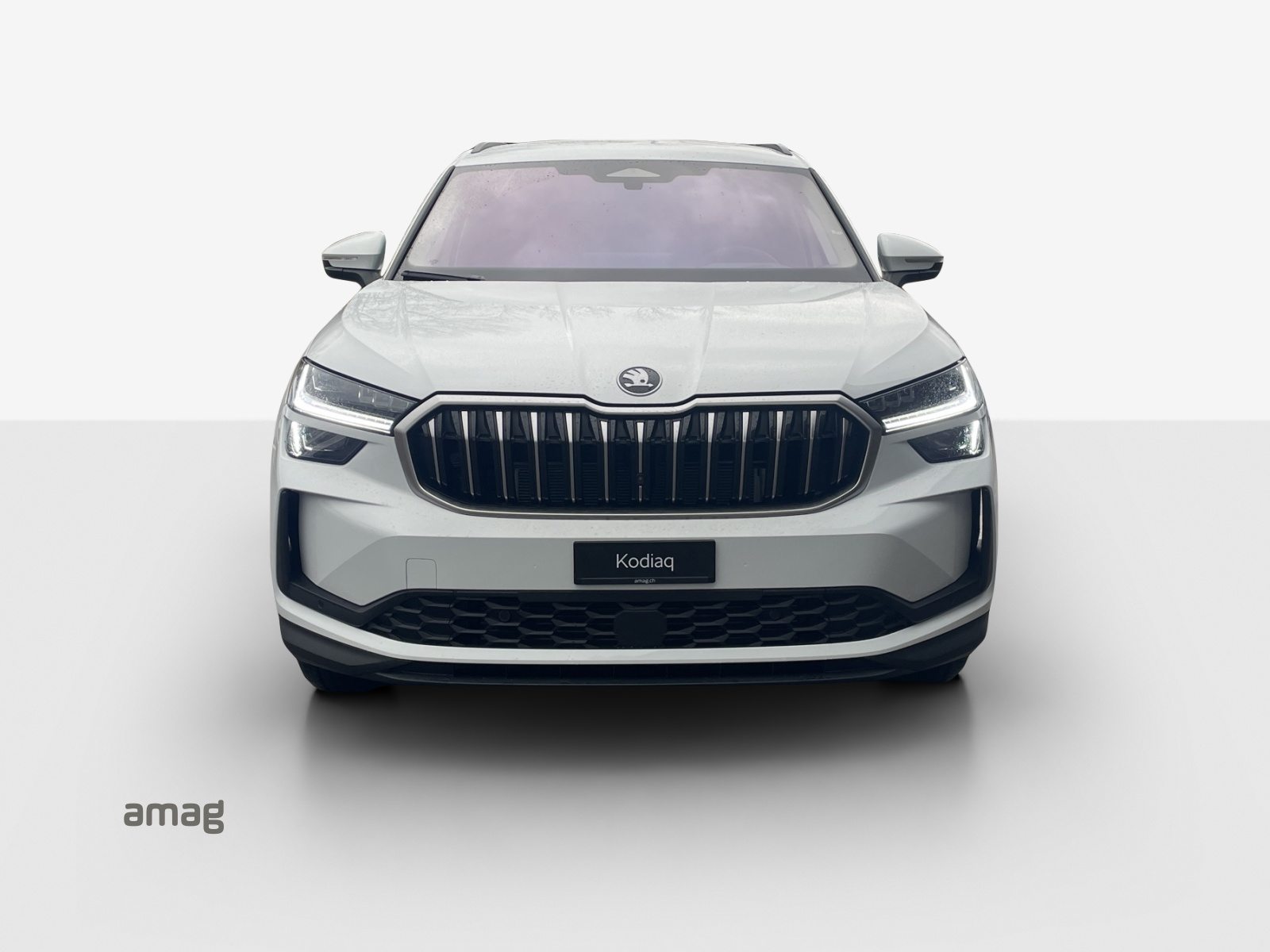 SKODA Kodiaq Selection, Petrol, New car, Automatic - 7