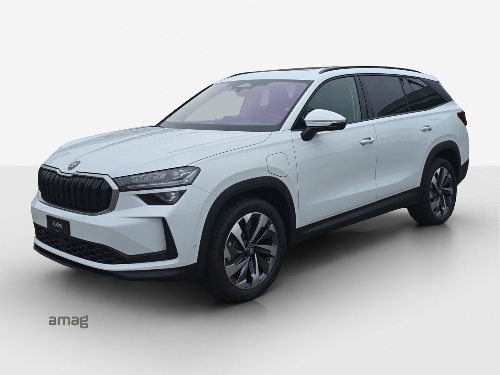 SKODA Kodiaq iV Dynamic (Netto)