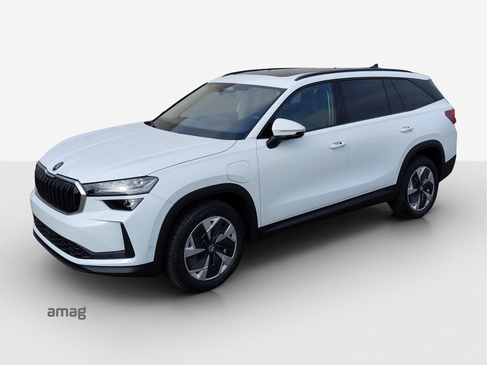 SKODA Kodiaq iV Dynamic (Netto)