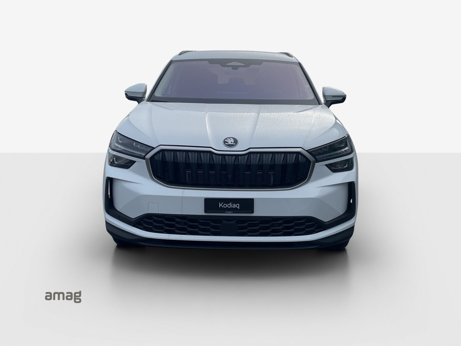 SKODA Kodiaq Dynamic (Netto), Benzin, Neuwagen, Automatik - 7