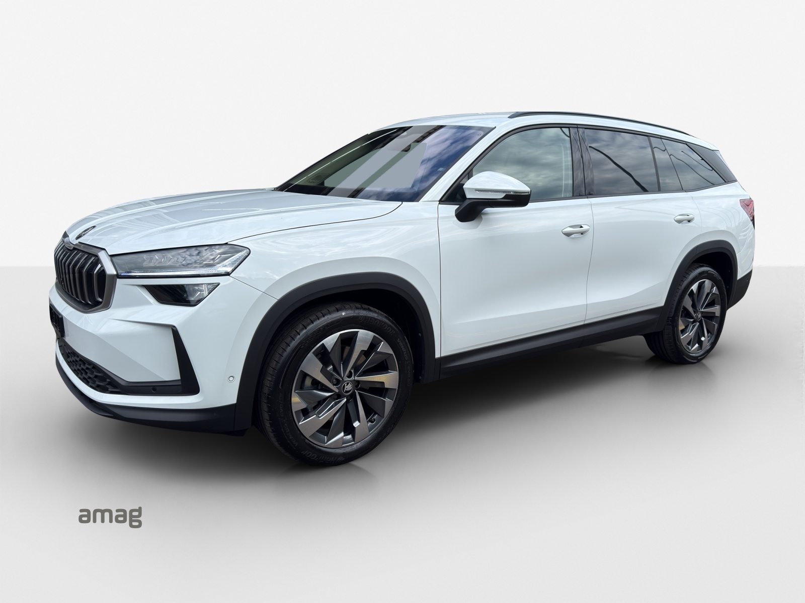 SKODA Kodiaq Dynamic (Netto)